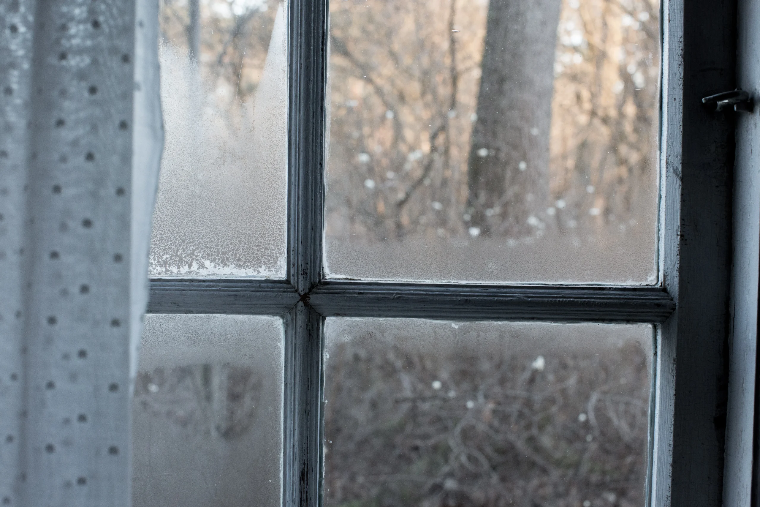 Understand Condensation & It's Causes
