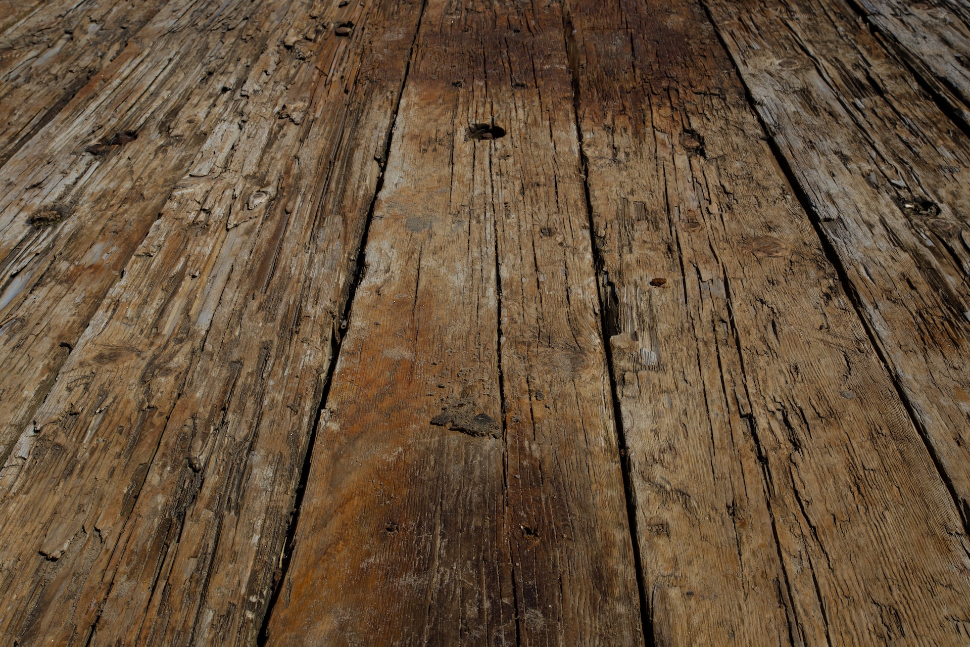 Rot Surveyors should look out for