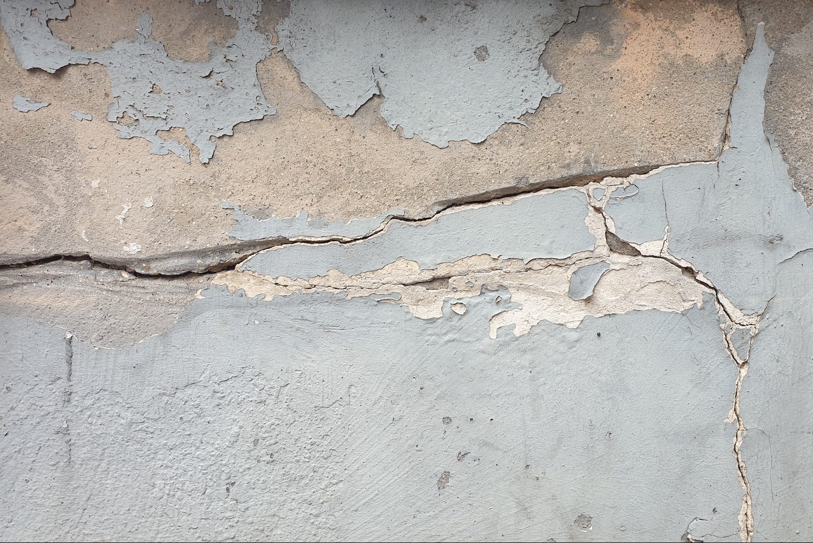 Housing Disrepair